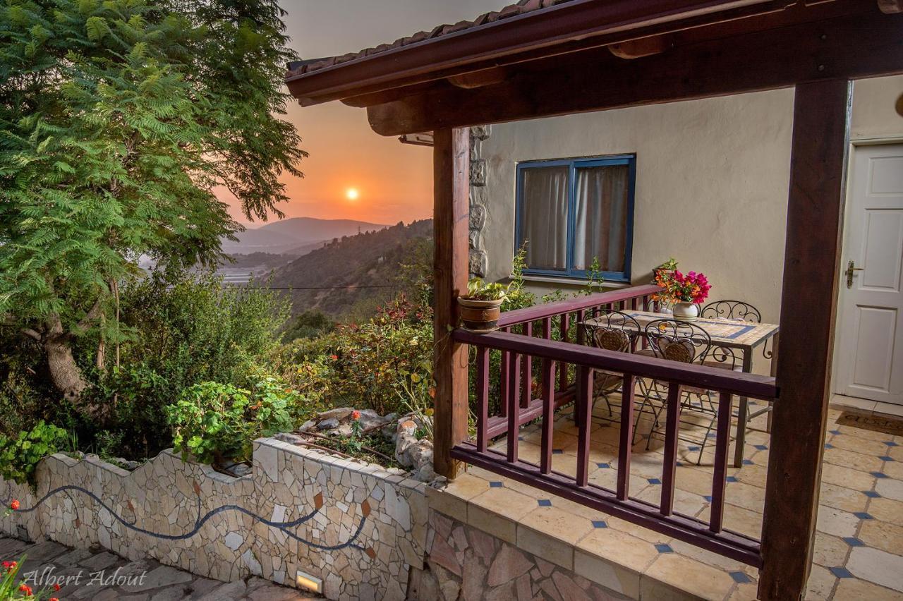 Dream Time Villa Амирим Екстериор снимка